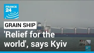 'Relief for the world', Kyiv says as grain ship left Ukraine • FRANCE 24 English