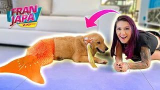 MINHA CACHORRA VIROU UMA SEREIA !!! - Fran Japa