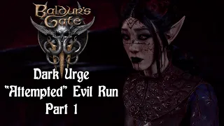 I attempt to do an Evil Dark Urge Run (no commentary) | Baldur's Gate 3 | Act 1 - Part 1