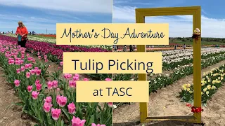 Picking The Biggest Tulip Farm in Ontario