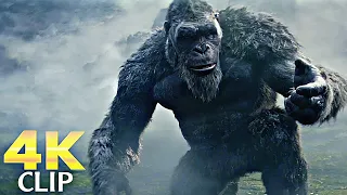 A Helping Hand | GODZILLA X KONG THE NEW EMPIRE (NEW 2024) Movie CLIP 4K