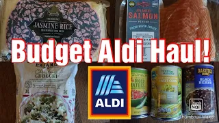 Aldi Grocery Haul With Prices! Freezer and Pantry Challenge!