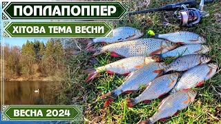 ПОПЛАПОППЕР - ПРОСТО і ЕФЕКТИВНО! Як наловити КУПУ ВЕЛЕТЕНСЬКОЇ КРАСНОПІРКИ навесні?