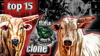 Top 15 touro clone Cia máfia do boi