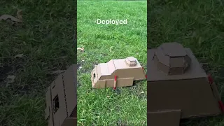 Cardboard TIV 2 VS Leaf Blower