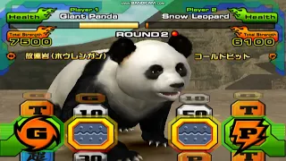 Animal Kaiser (PC) - Giant Panda vs Snow Leopard (Po vs Tai Lung)