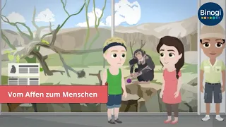 Vom Affen zum Menschen