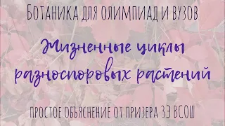 Разноспоровые растения | цикл селагинеллы и олимпиадный цикл сосны | Ботаника для олимпиад и вуза