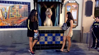 Shrek's Donkey is chatting with Girls @ Universal Studios Hollywood He makes everyone LAUGH!