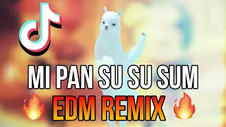 [TikTok Song] Mi Pan Su Su Sum (VGR Remix)