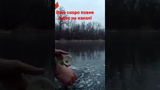Перший лід . Відкриття рибалки з льоду #українапонадусе #shorts #рибалка #shortvideo
