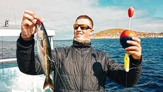 Mit Pose und Köderfisch auf Tiefsee Giganten! Angeln Maximal