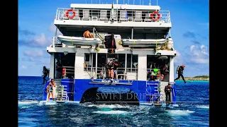 Aqua Cat Cruises - Bahamas Liveaboard Diving