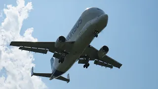 Airbus Beluga ST Landing Finkenwerder NEW VIEW