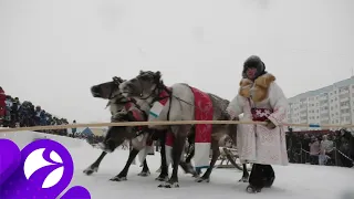 Кениец побывал на празднике оленеводов в Надыме