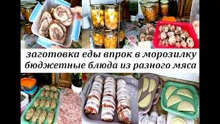 ЗАГОТОВКА ЕДЫ ВПРОК В МОРОЗИЛКУ! Бюджетные блюда из разного мяса!  Полуфабрикаты и готовые блюда!