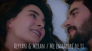 reyyan & miran / me enamoré de ti