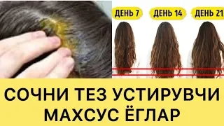 СОЧЛАР ВА КИПРИКЛАРНИ ТЕЗ УСТИРИШ СИРИ