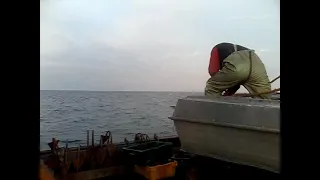 *Весенний промысел камбалы Калкан в Азовском море*