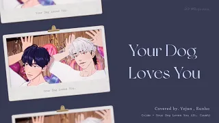 【PLAVE플레이브】 예준,은호 - Your Dog Loves You (Covered by Yejun,Eunho) | 韓中字 Fanmade lyrics