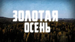 ОЧЕНЬ ПРИЯТНАЯ АТМОСФЕРА И ОЧЕНЬ КРАСИВОЕ ВИДЕО: ЗОЛОТАЯ ОСЕНЬ | АТМОСФЕРНОЕ ВИДЕО