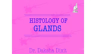 HISTOLOGY OF GLANDS