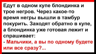 Раскрепощённая блондинка и трое негров в купе... Анекдоты! Юмор! Позитив!