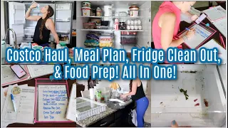 Costco Haul, Meal Planning, Satisfying Fridge Clean Out, & Food Prep!