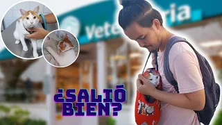 Así es una clínica veterinaria en Cuba