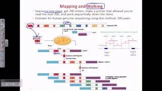 Genome sequencing