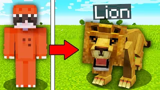 I Pranked My Friend as a Lion in Minecraft!