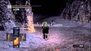 Dark Souls | Knight's Honor تروفي الأسلحة النادرة