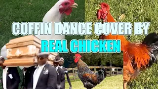 Coffin Dance - Chicken Cover | Astronomia