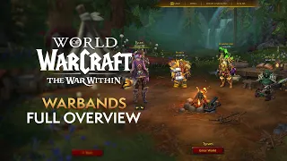 Warbands in The War Within! Account-Wide EVERYTHING*