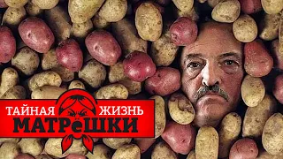 На смену путину готовят Лукашенко? Тайная жизнь матрешки. Эпизод 135