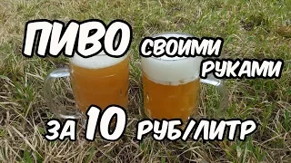 Beer with your hands for 10 rubles to 1 liter. Recipe + Tasting