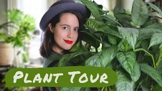 Plant Tour .🌿. My 200+ Houseplant Collection + Care Tips