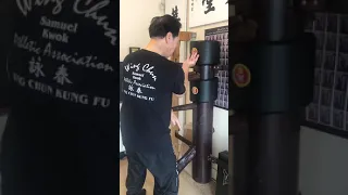 木人樁的基本練法 WOODEN DUMMY BASIC DRILL TRAINING .