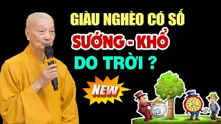 Giàu Nghèo có Số, Sướng Khổ do Trời hay do con người lựa chọn? Hay Quá l Thầy Thích Trí Quảng