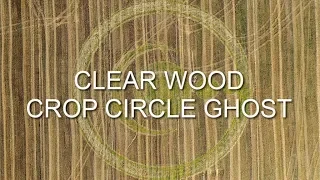 Clear Wood Crop Circle Ghost 2019