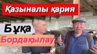 Қазыналы қариямыз бордақылаудың қыр-сырын түсіндірді