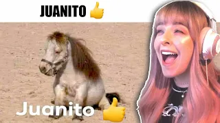 REACCIONANDO a los MEJORES MEMES RANDOM #390