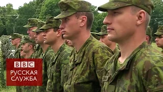 На Украине проходят масштабные учения НАТО - BBC Russian