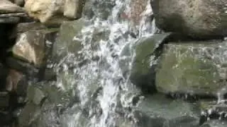 Cougar (Terwilliger) Hot Springs Oregon