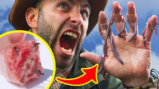 Coyote Peterson's Most BIZARRE and RARE Encounters! (Greatest Hits)