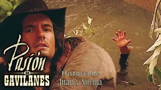 Pasion de Gavilanes [PDG]: Juan y Norma (547) - La muerte de Fernando