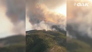 Российские Бе-200ЧС тушат пожары в Турции| Be-200ES firefighting in Turkey