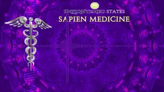 Core Strengthening by Sapien Medicine (Energetically/Morphic Programmed Audio)