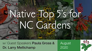 Go Native!  Best Plants for Your North Carolina Backyard