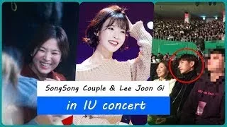 SongSong Couple, Lee Joon Gi, Park Bo Gum Attend IU Concert | Celebrities Who Attend IU Co